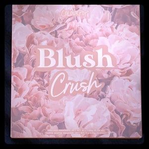 Color pop blush crush palette
